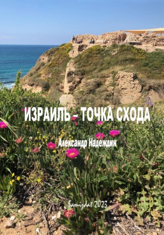 Александр Данилович Надеждин. Израиль – точка схода