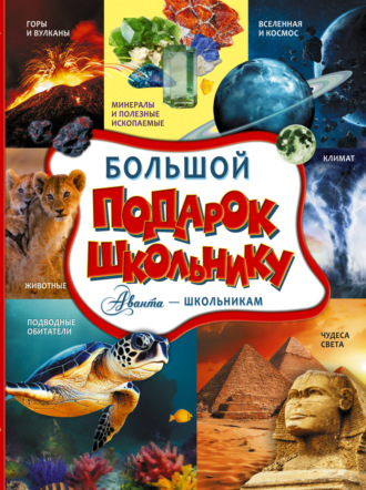 Большой подарок школьнику. 