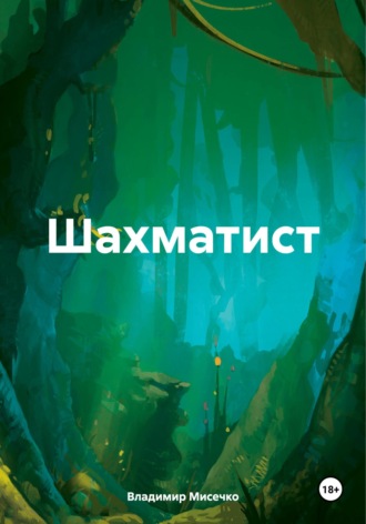 Владимир Александрович Мисечко. Шахматист