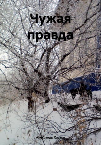 Чужая правда. Александр Викторович Сауков