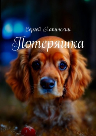 Сергей Лапинский. Потеряшка