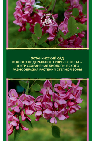 Коллектив авторов. Ботанический сад Южного федерального университета – центр сохранения биологического разнообразия растений степной зоны