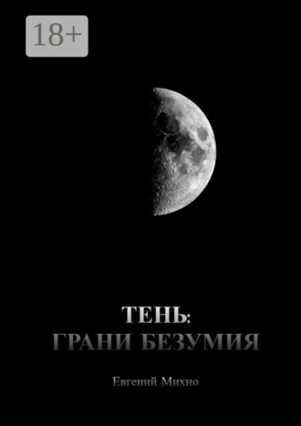 Евгений Михно. Тень: Грани безумия