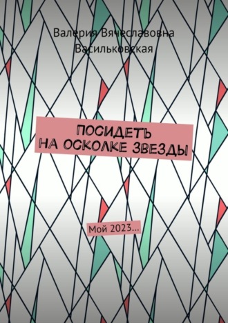 Посидеть на осколке звезды. Мой 2023…. Валерия Вячеславовна Васильковская