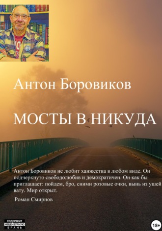 Антон Боровиков. Мосты в никуда
