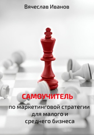 Самоучитель по маркетинговой стратегии для малого и среднего бизнеса.. Вячеслав Викторович Иванов