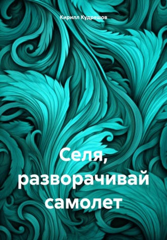 Кирилл Кудряшов. Селя, разворачивай самолет