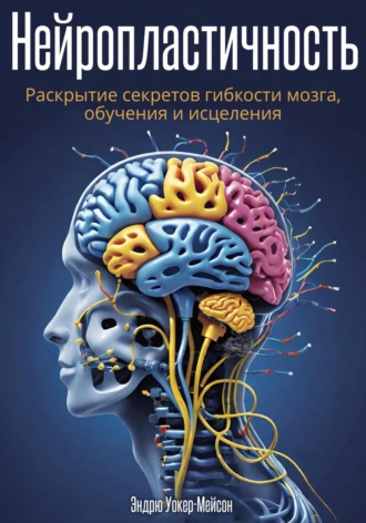 Эндрю Уокер-Мейсон. Нейропластичность: Раскрытие секретов гибкости мозга, обучения и исцеления