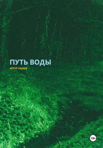 Путь воды. Артур Ушаев