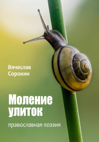 Моление улиток. Вячеслав Сорокин
