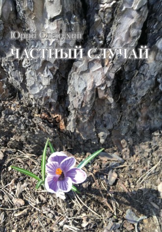 Частный случай. 