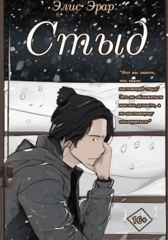 Элис Эрар. Стыд