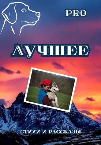 Pro. Лучшее
