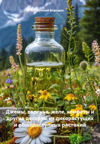 Евгений Владимирович Бородин. Джемы, варенье, желе, конфеты и другие десерты из дикорастущих и общедоступных растений