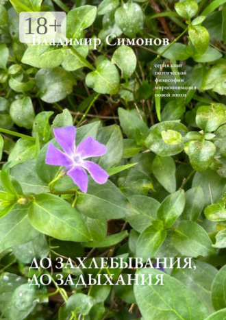 До захлебывания, до задыхания. Серия книг поэтической философии миропонимания новой эпохи. 