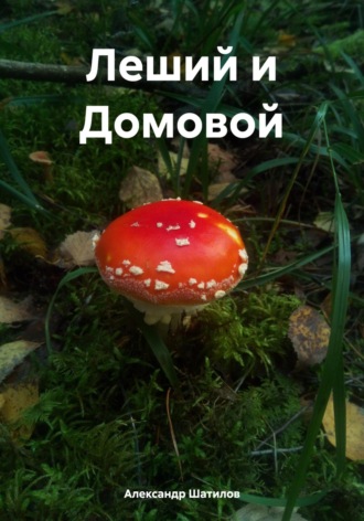 Александр Шатилов. Леший и Домовой