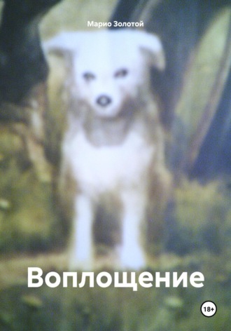 Марио Золотой. Воплощение