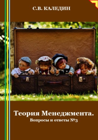 Теория Менеджмента. Вопросы и ответы 3. Сергей Каледин