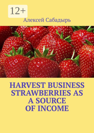 Harvest Business Strawberries as a Source of Income. 