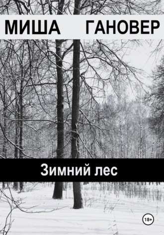 Миша Гановер. Зимний лес