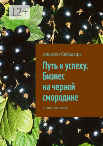 Путь к успеху. Бизнес на черной смородине. Бизнес на земле. 