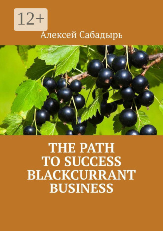 The path to success blackcurrant business. 