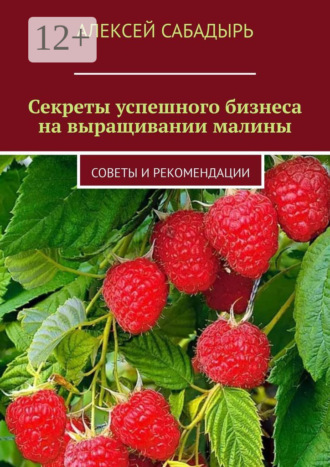 Секреты успешного бизнеса на выращивании малины. Советы и рекомендации. 