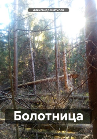 Александр Шатилов. Болотница