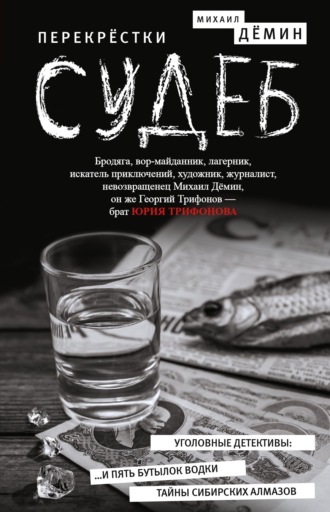 Михаил Дёмин. Перекрестки судеб