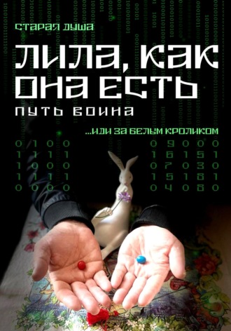 Старая Душа. Лила, как она есть. Путь воина