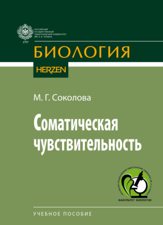 М. Г. Соколова. Соматическая чувствительность