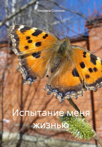 Виорика Солинка. Испытание меня жизнью