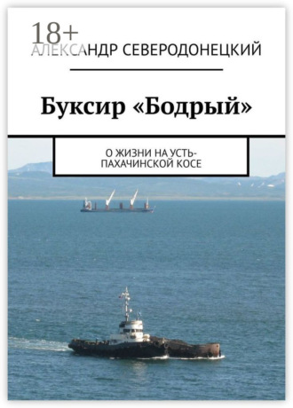 Буксир «Бодрый». О жизни на Усть-Пахачинской косе. Александр Северодонецкий
