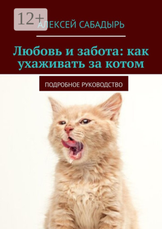 Любовь и забота: как ухаживать за котом. Подробное руководство. 
