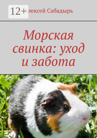 Морская свинка: уход и забота. 