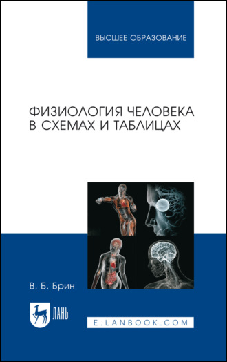 В. Б. Брин. Физиология человека в схемах и таблицах