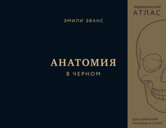 Эмили Эванс. Анатомия в черном