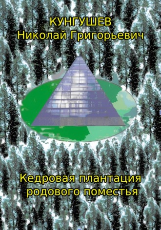Кедровая плантация родового поместья. Николай Григорьевич Кунгушев
