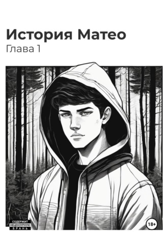 История Матео. Глава 1. 
