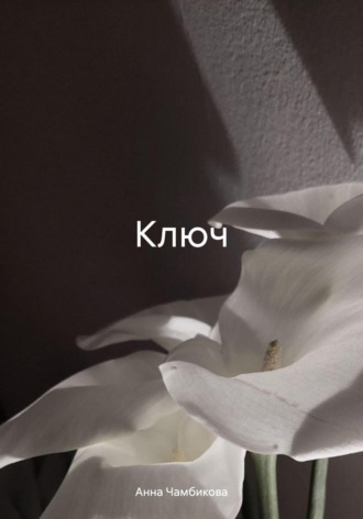 Анна Чамбикова. Ключ