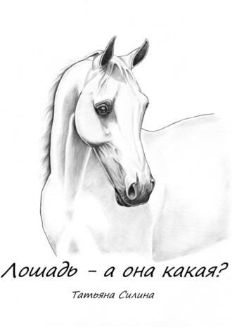Татьяна Силина. Лошадь – а она какая? Часть первая