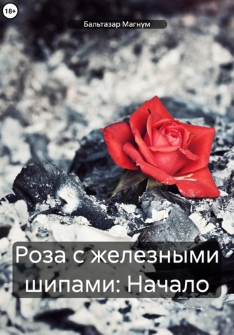 Бальтазар Магнум. Роза с железными шипами: Начало