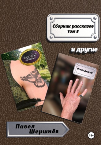 Павел Валерьевич Шершнёв. Сборник рассказов. Том 5