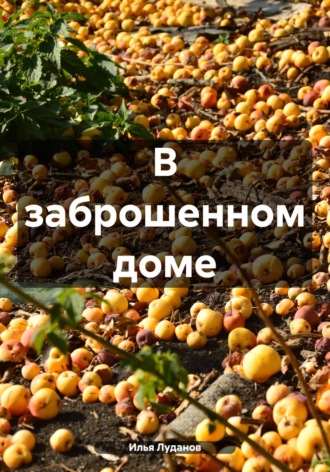 Илья Луданов Луданов. В заброшенном доме