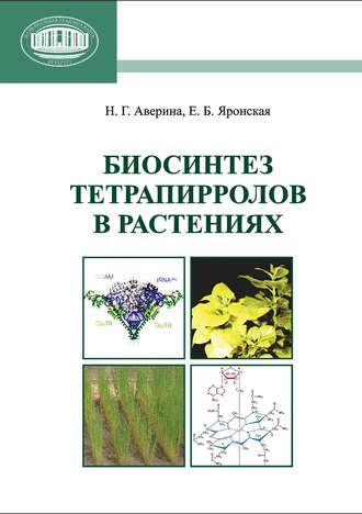 Н. Г. Аверина. Биосинтез тетрапирролов в растениях