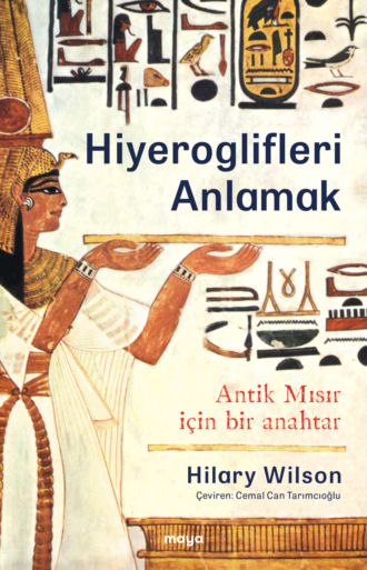 Hiyeroglifleri Anlamak. Hilary  Wilson