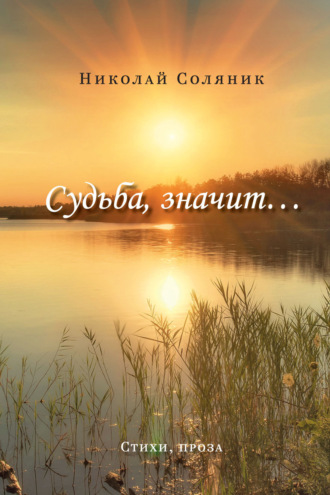 Судьба, значит…. Николай Соляник