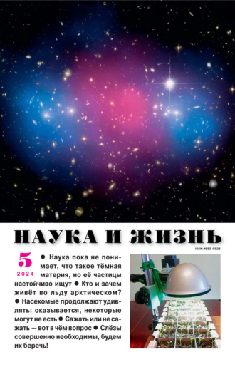 Наука и жизнь №05/2024. 