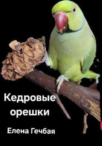 История Изи Изумрудного. Кедровые орешки. Елена Гечбая