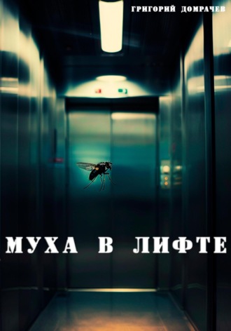 Григорий Домрачев. Муха в лифте
